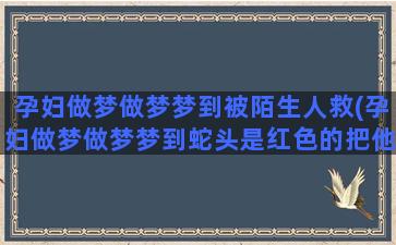 孕妇做梦做梦梦到被陌生人救(孕妇做梦做梦梦到蛇头是红色的把他踩死)