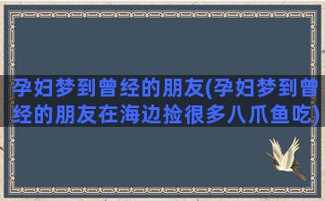 孕妇梦到曾经的朋友(孕妇梦到曾经的朋友在海边捡很多八爪鱼吃)