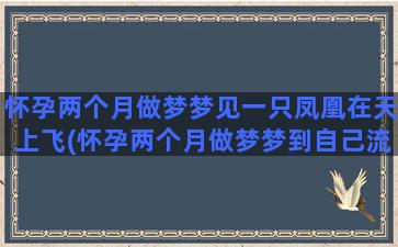 怀孕两个月做梦梦见一只凤凰在天上飞(怀孕两个月做梦梦到自己流产了)