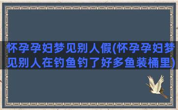 怀孕孕妇梦见别人假(怀孕孕妇梦见别人在钓鱼钓了好多鱼装桶里)