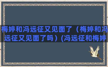 梅婷和冯远征又见面了（梅婷和冯远征又见面了吗）(冯远征和梅婷关系好吗)