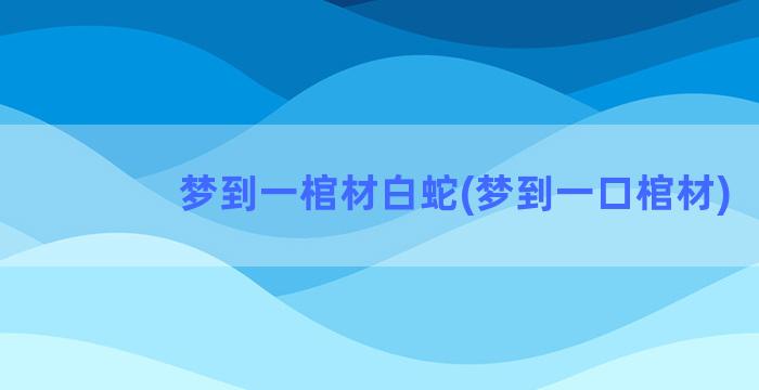 梦到一棺材白蛇(梦到一口棺材)