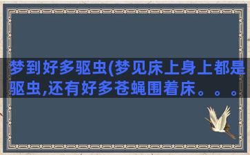 梦到好多驱虫(梦见床上身上都是驱虫,还有好多苍蝇围着床。。。好可怕)