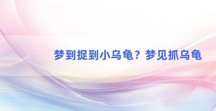 梦到捉到小乌龟？梦见抓乌龟