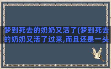 梦到死去的奶奶又活了(梦到死去的奶奶又活了过来,而且还是一头长长的披肩发)