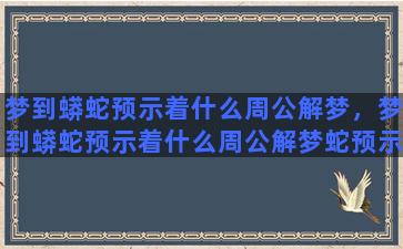 梦到蟒蛇预示着什么周公解梦，梦到蟒蛇预示着什么周公解梦蛇预示着什么