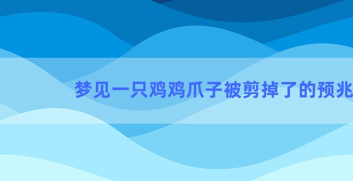 梦见一只鸡鸡爪子被剪掉了的预兆