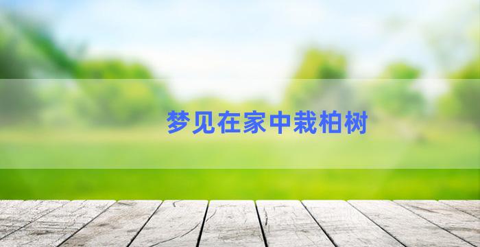 梦见在家中栽柏树