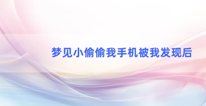 梦见小偷偷我手机被我发现后