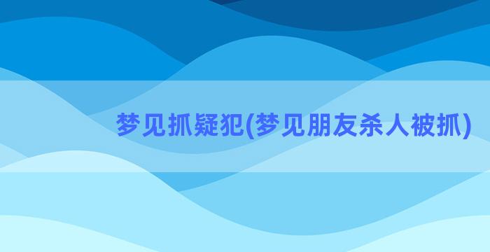 梦见抓疑犯(梦见朋友杀人被抓)