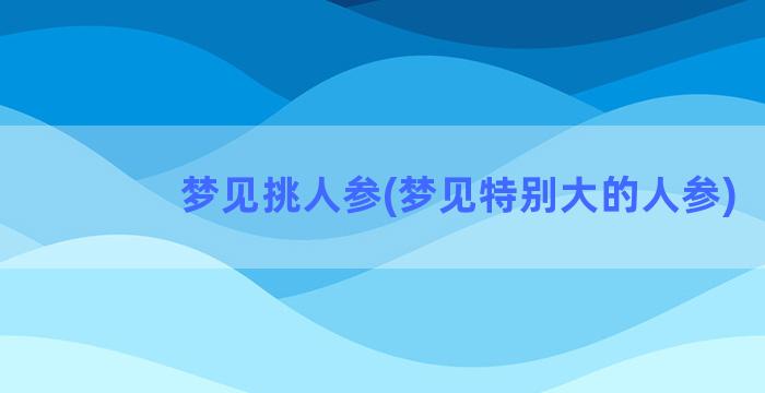 梦见挑人参(梦见特别大的人参)