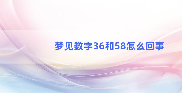 梦见数字36和58怎么回事