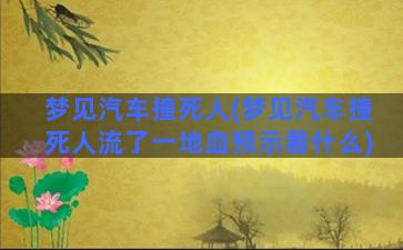 梦见汽车撞死人(梦见汽车撞死人流了一地血预示着什么)