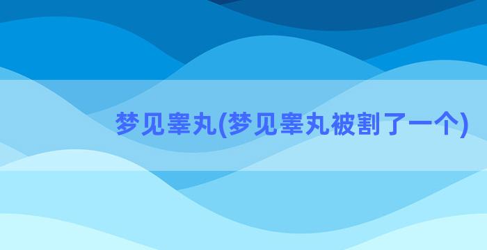 梦见睾丸(梦见睾丸被割了一个)