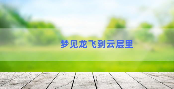 梦见龙飞到云层里