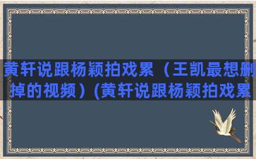 黄轩说跟杨颖拍戏累（王凯最想删掉的视频）(黄轩说跟杨颖拍戏累)